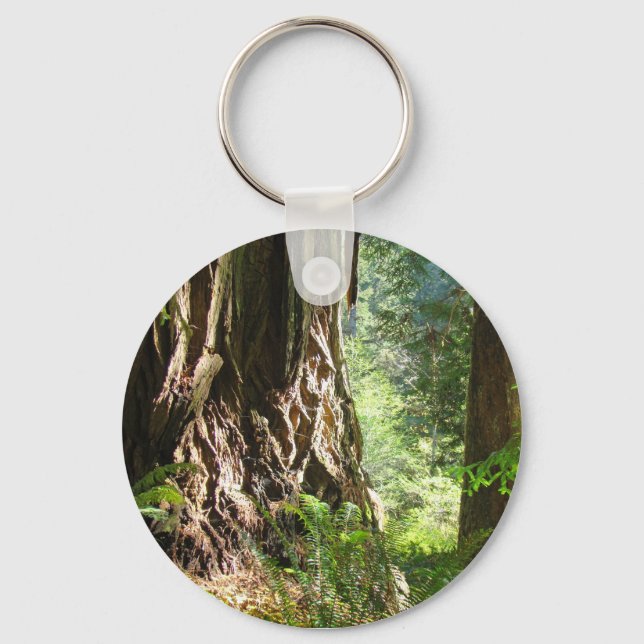 Redwood-träd nyckelringar (Framsida)