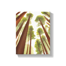 Redwood-träd | Redwood National Park Akvarell