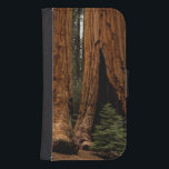 Redwood Träd, Sequoia National Park. Galaxy S4 Plånboksfodral<br><div class="desc">COPYRIGHT Jerry Ginsberg / DanitaDelimont.com| US05 JGI0036.jpg| Redwood Träd,  Sequoia National Park.</div>