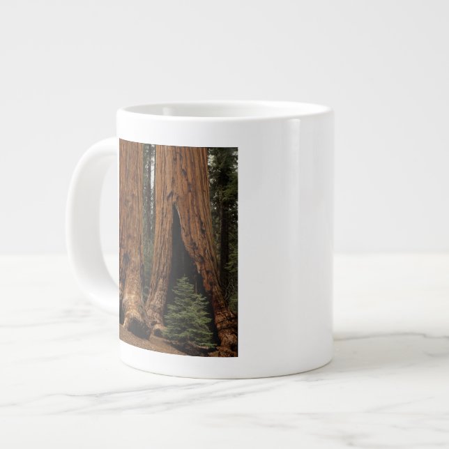 Redwood Träd, Sequoia National Park. Jumbo Mugg (Framsida vänster)