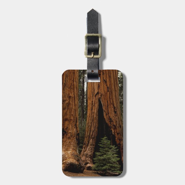 Redwood-träd, Sequoia nationalpark. Bagagebricka (Vertikal Framsida)