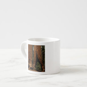 Redwood-träd, Sequoia nationalpark. Espressomugg