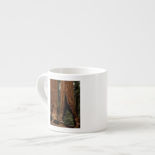 Redwood-träd, Sequoia nationalpark. Espressomugg (Framsida vänster)