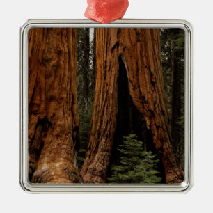 Redwood-träd, Sequoia nationalpark. Julgransprydnad Metall