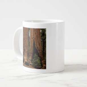 Redwood-träd, Sequoia nationalpark. Jumbo Mugg