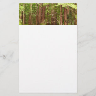 Redwood Träd vid Muir Skogen nationalmonument Brevpapper