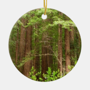 Redwood Träd vid Muir Skogen nationalmonument Julgransprydnad Keramik