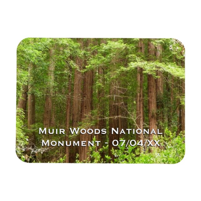 Redwood Träd vid Muir Skogen nationalmonument Magnet (Horisontell)