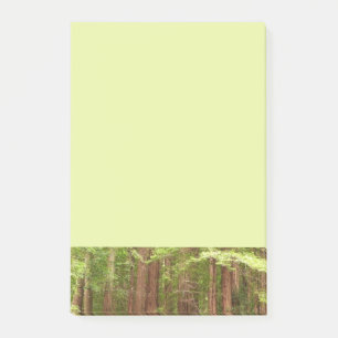 Redwood Träd vid Muir Skogen nationalmonument Post-it Block
