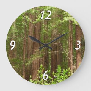 Redwood Träd vid Muir Skogen nationalmonument Stor Klocka