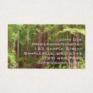 Redwood Träd vid Muir Skogen nationalmonument Visitkort