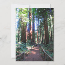 Redwood Trail Norra Kalifornien