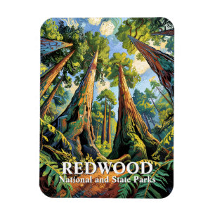 Redwoods Nationalpark Kalifornien Van Gogh Anpassa Magnet