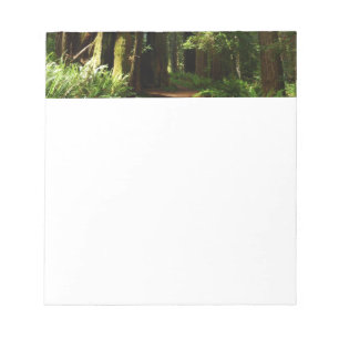 Redwoods och ormbunkar i Redwood National Park Anteckningsblock