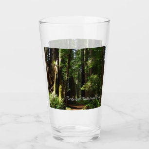 Redwoods och ormbunkar i Redwood National Park Glaskopp