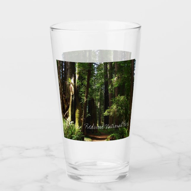 Redwoods och ormbunkar i Redwood National Park Glaskopp (Framsida)