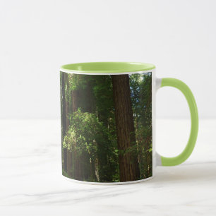 Redwoods och ormbunkar i Redwood National Park Mugg