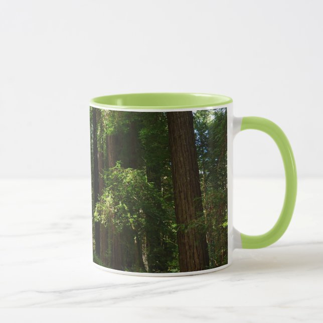 Redwoods och ormbunkar i Redwood National Park Mugg (Höger)