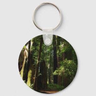 Redwoods och ormbunkar i Redwood National Park Nyckelring