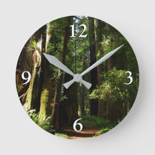 Redwoods och ormbunkar i Redwood National Park Rund Klocka