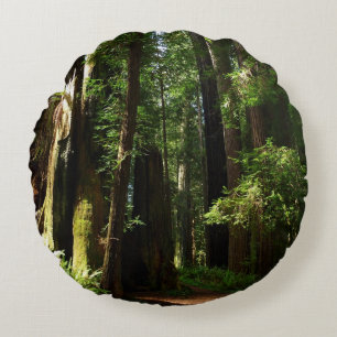Redwoods och ormbunkar i Redwood National Park Rund Kudde