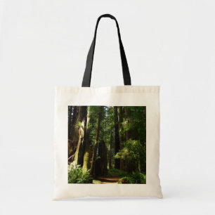 Redwoods och ormbunkar vid Redwood National Park Tygkasse