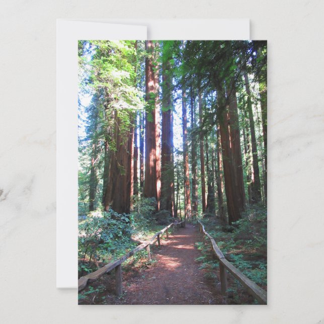 Redwoodstig norra Kalifornien  Inbjudningar (Framsida)