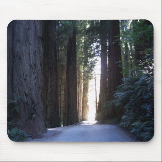 Redwoodträd Mousepad Musmatta