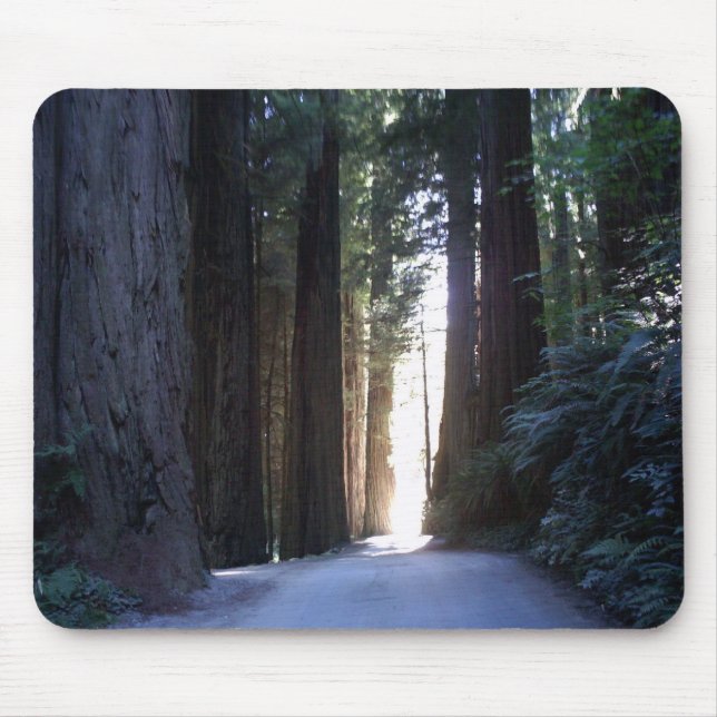 Redwoodträd Mousepad Musmatta (Framsidan)