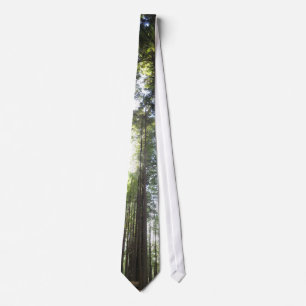 Redwoodträd Slips