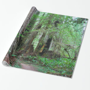 Redwoodträden - Sequoia Presentpapper