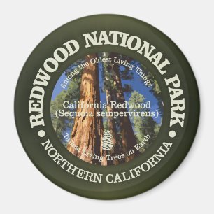 Redwoodträdnationalpark Magnet