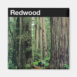 Redwoodträdnationalpark Magnet