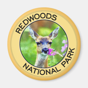 Redwoodträdnationalpark Magnet