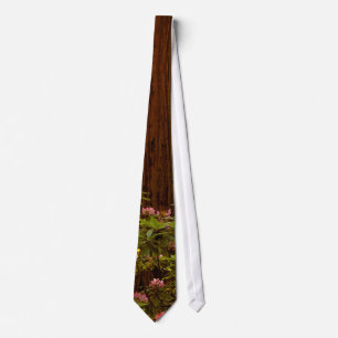 RedwoodträdnationalparkTie Slips