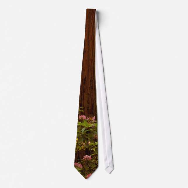 RedwoodträdnationalparkTie Slips (Framsida)