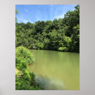Reed Bäck, Wytheville, Virginia Poster