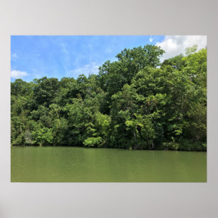 Reed Bäck, Wytheville, Virginia Poster