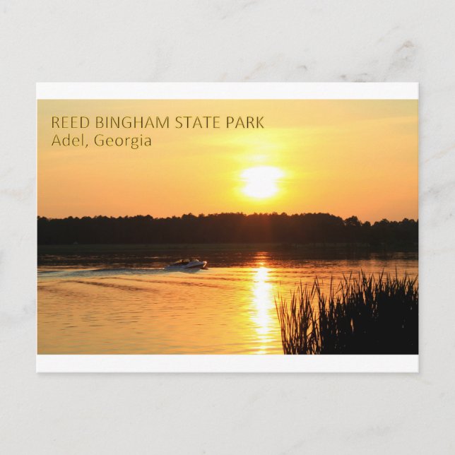 REED BINGHAM STATE PARK - Adel, Georgia Vykort (Framsida)