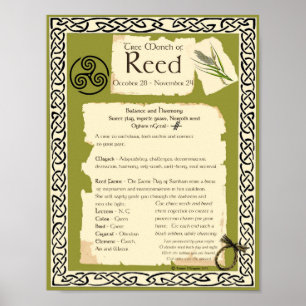 REED CELTIC HELIG TRÄD POSTER