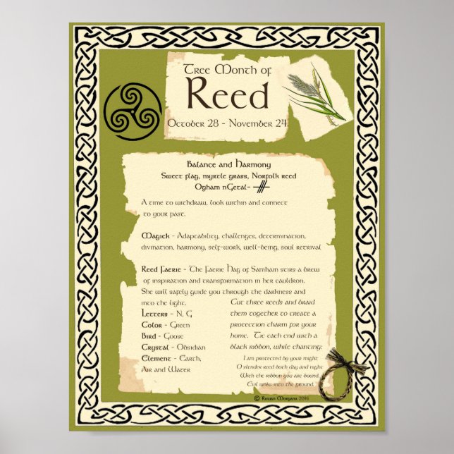 REED CELTIC HELIG TRÄD POSTER (Framsidan)