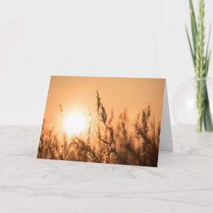 Reed Sunset Nature Photo Kort