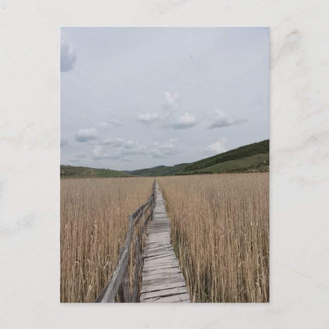 Reeds i en Marsh i Rumänien Vykort (Framsida)