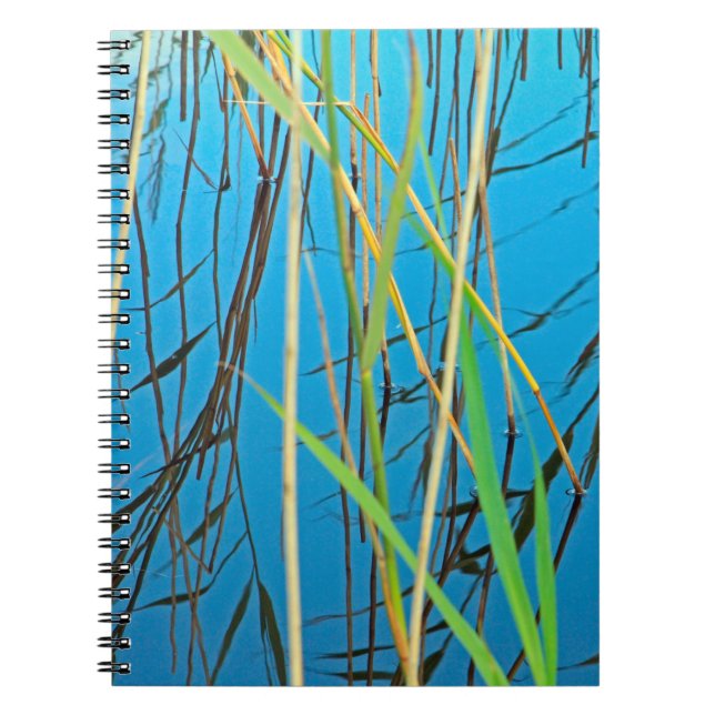 Reeds i sjö anteckningsbok (Framsidan)