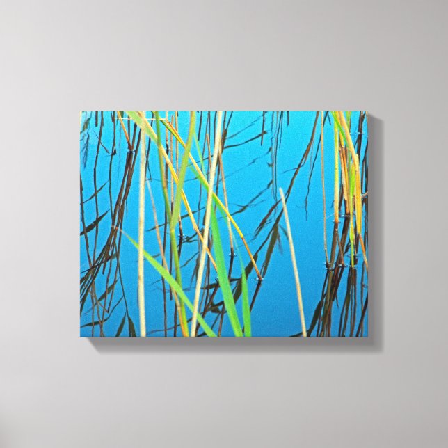 Reeds i sjö canvastryck (Framsida)