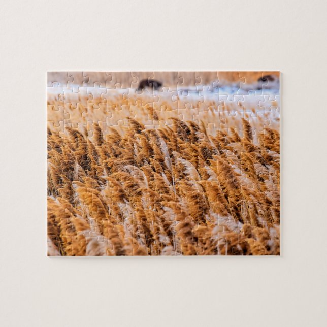 Reeds of Antelope Island, Utah - 8x10 - 110 pcs. Pussel (Horisontell)