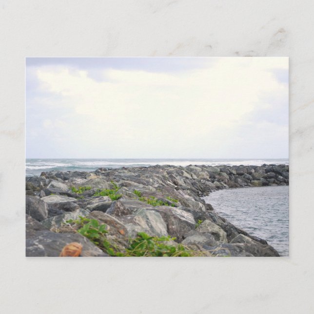 Reef_Dorado PR Vykort (Framsida)