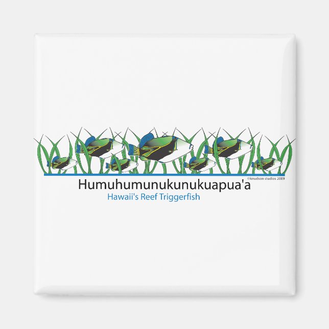 Reef-Fish- Magnet (Framsidan)