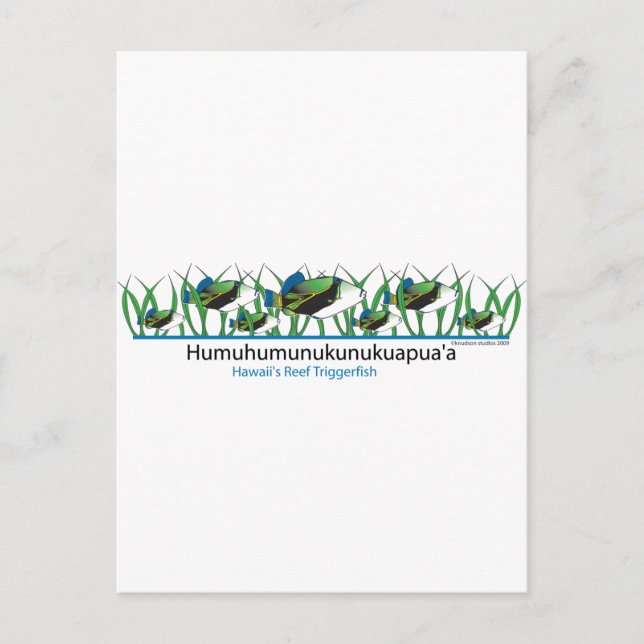 Reef-Fish- Vykort (Framsida)