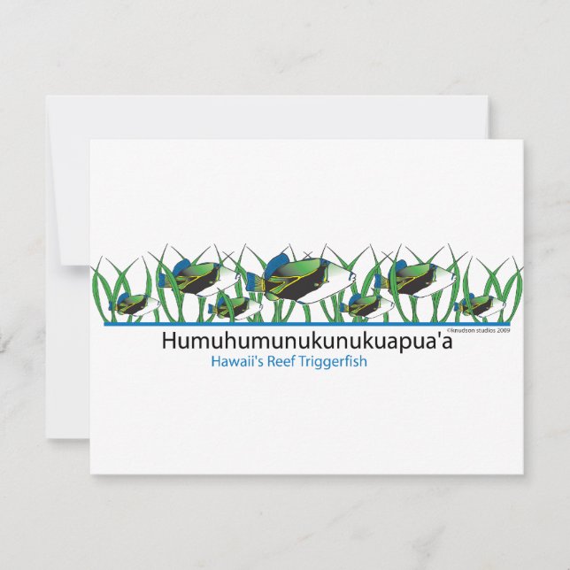 Reef-Fisk- (Framsida)